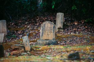 Wrongful Death Lawyer Cherry Log 2 wrongful death lawyer Cherry Log